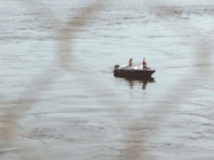 В этой рыбе нашли живых 10-метровых червей: а мы ее едим и не подозреваем