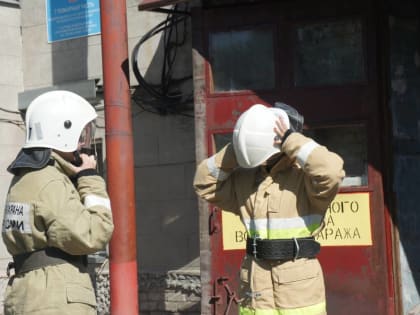 В Пермском крае участились случаи горения тополиного пуха