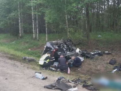 В Пермском крае в ДТП погибли 5 человек