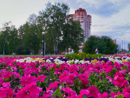 ​Тепло и дожди: синоптики рассказали о погоде в Пермском крае на неделе