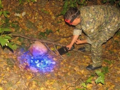 В Пермском крае завершено расследование убийства 23-летней медсестры из Чусового