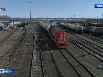 Пермская транспортная прокуратура добилась возмещения ущерба за трех лосей, сбитых насмерть поездами