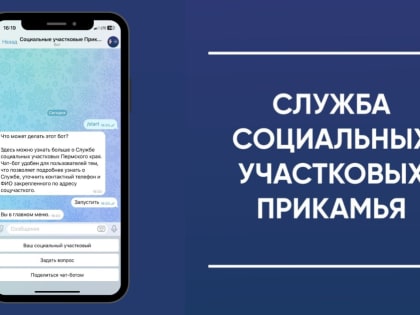В Прикамье заработал чат-бот Службы социальных участковых