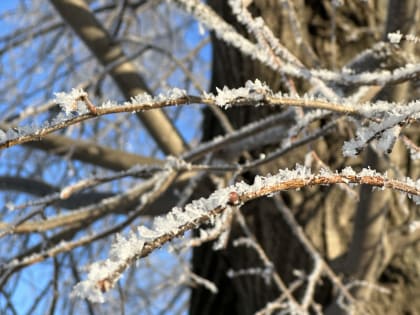 В Прикамье на этой неделе ожидается прохладная погода и мокрый снег
