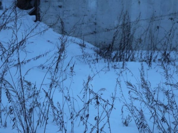 ​В ГУ МЧС по Пермскому краю предупредили о неблагоприятных погодных явлениях 20 января