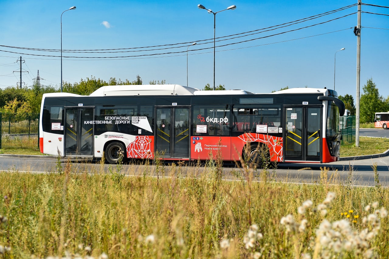 Первый автобус пермь. Пермские автобусы. Новые автобусы. Новые автобусы в Перми. Новые Пермские автобусы марка.