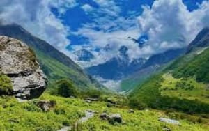 Photo of Valley of Flowers Trek