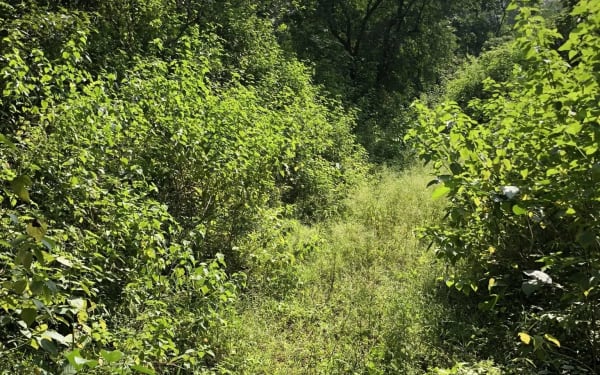 Trail photo
