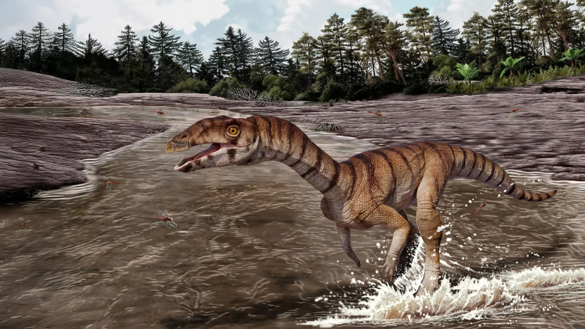 New Triassic crocodile relative reveals ostrich-like body plan and early archosaur evolution