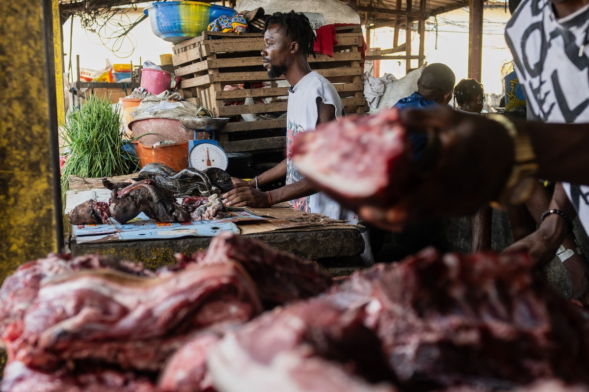 Ebola Outbreak in Congo Linked to Hunting and Consumption of Wild Meat