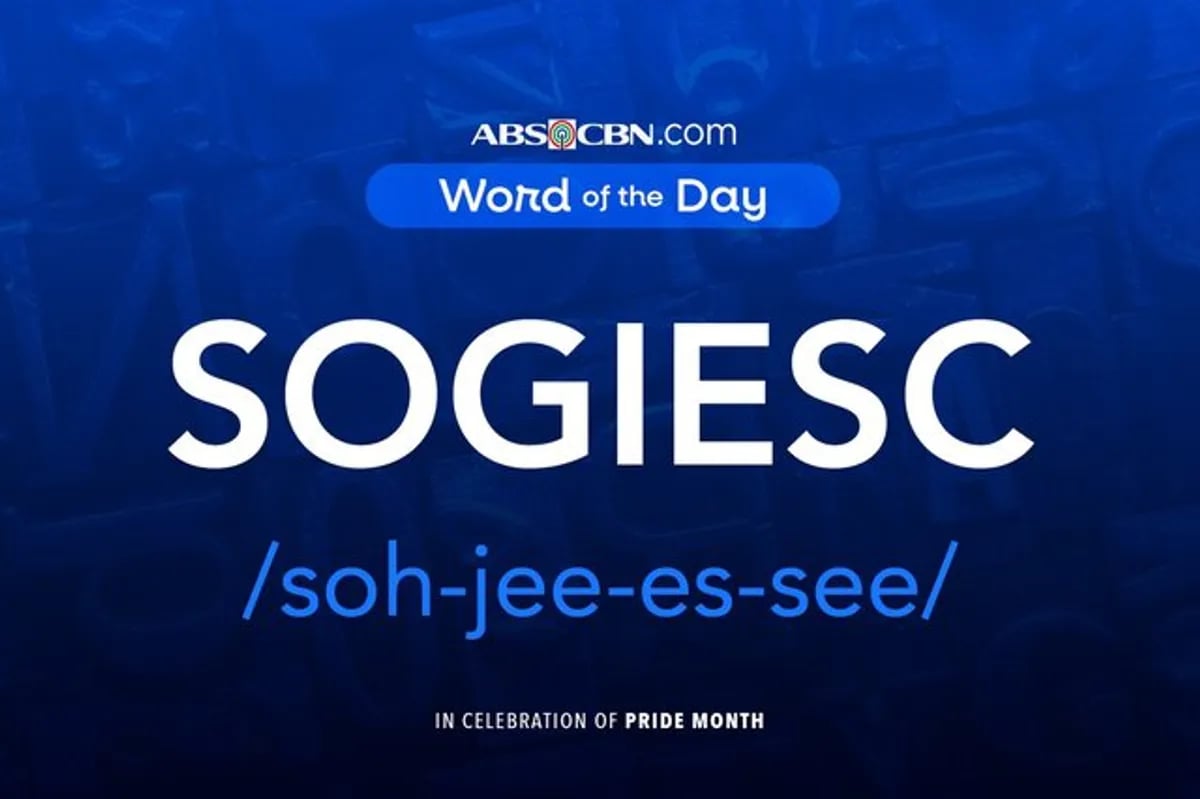 Word of the Day: SOGIESC (Sexual Orientation, Gender Identity, Expression, and Sex Characteristics)