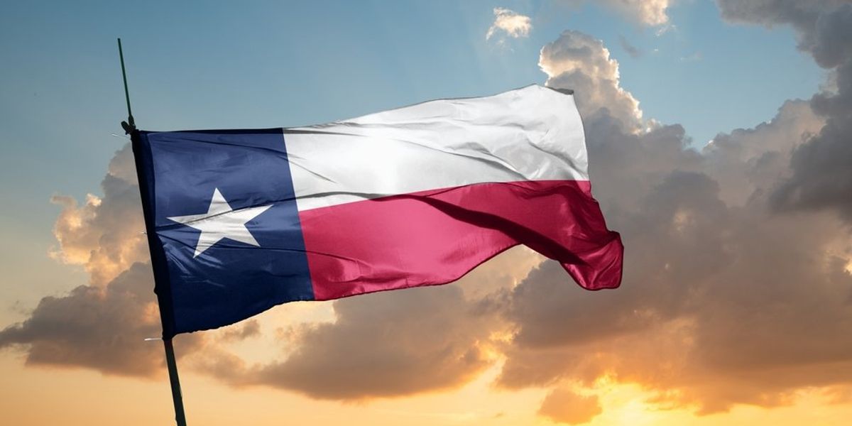 Texas Secretary of State Jane Nelson Announces Resignation Amid Debate Over Closed Primaries