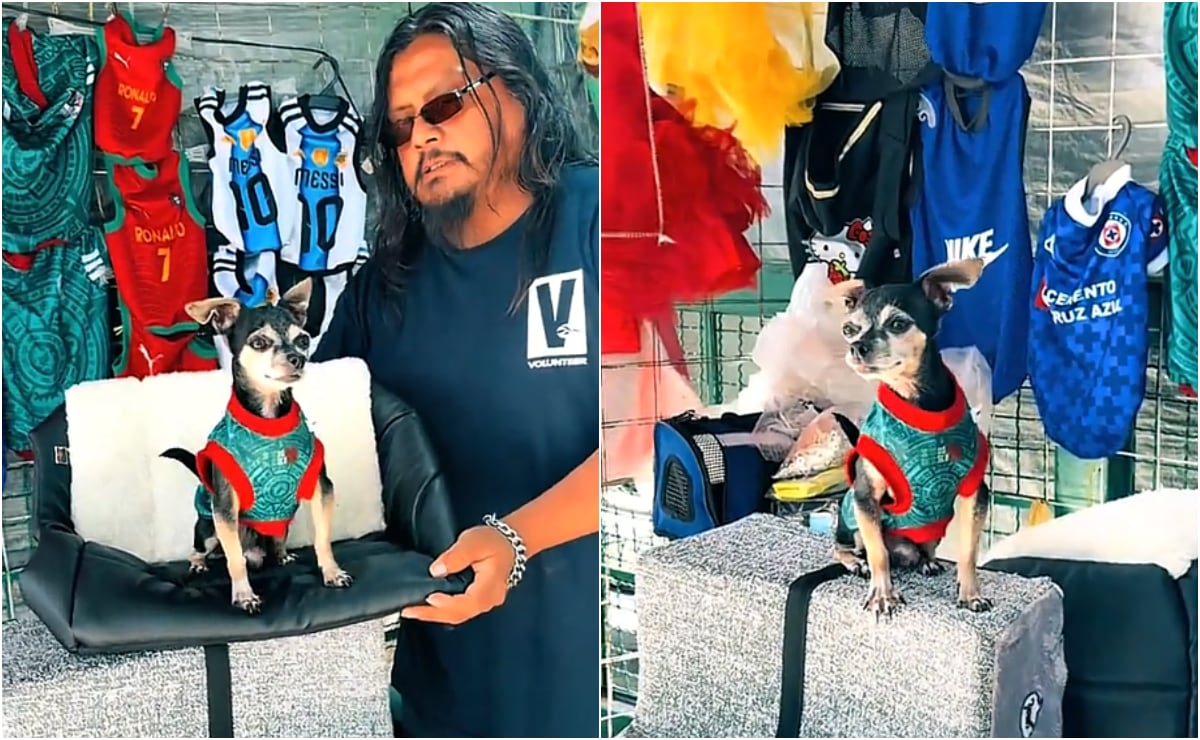 Chihuahua llamado Pinky ayuda a su dueño a promocionar productos para mascotas en CDMX