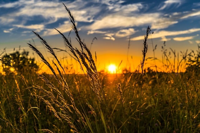 El solsticio de verano 2026 marca el inicio oficial del verano en el hemisferio norte