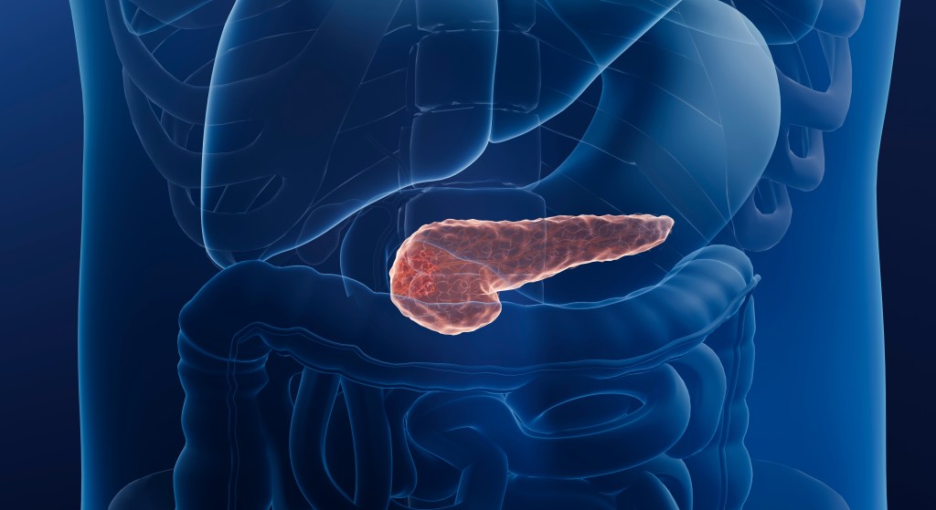 Daraxonrasib muestra resultados prometedores en el tratamiento del cáncer de páncreas avanzado