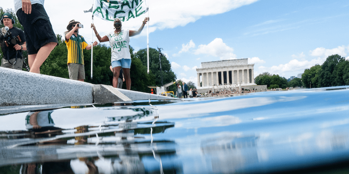 CNN Reports Continued Problems and Rising Costs in Trump's Reflecting Pool Renovation Project