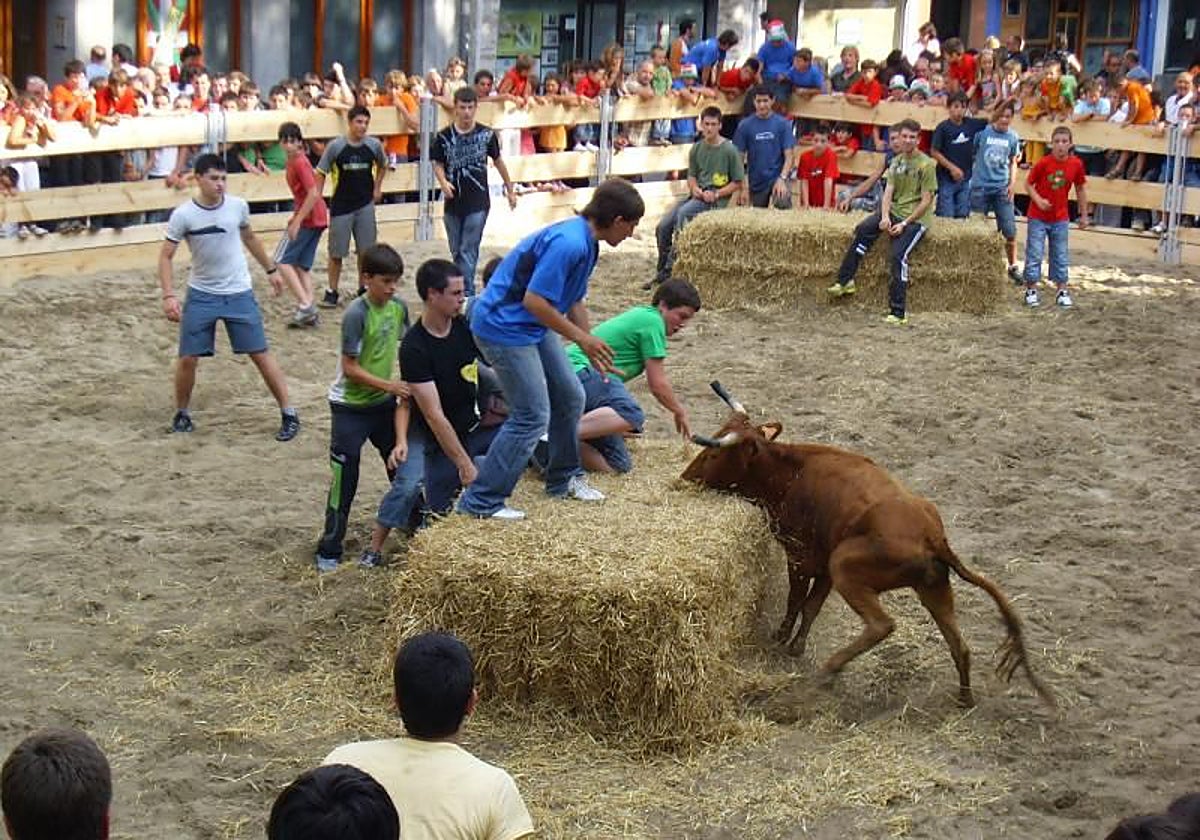 El Parlamento Vasco regula la participación de menores en festejos taurinos con becerros