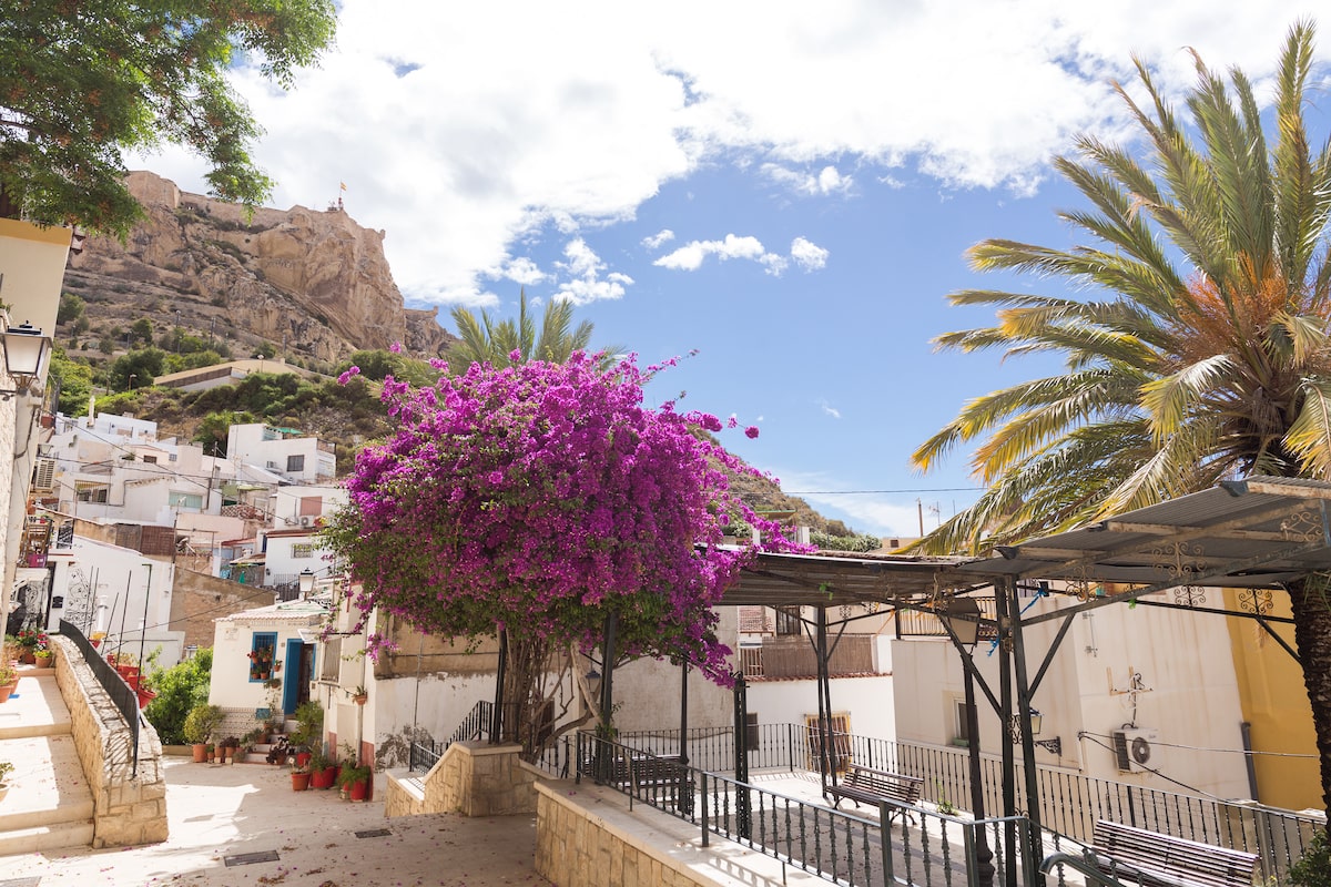 Explore Mediterranean culture, cuisine and coastal attractions in Valencia, Spain