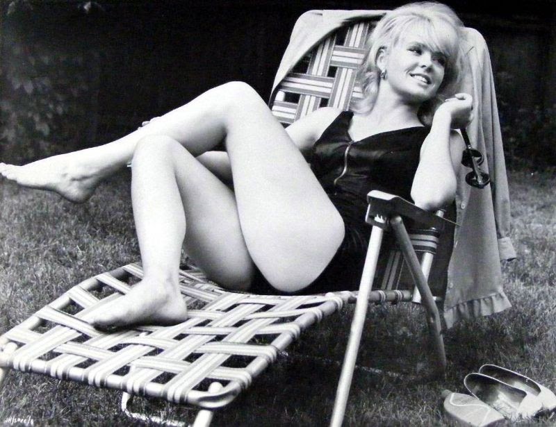Profile of Joey Heatherton, American Actress and Entertainer of the 1960s and 1970s