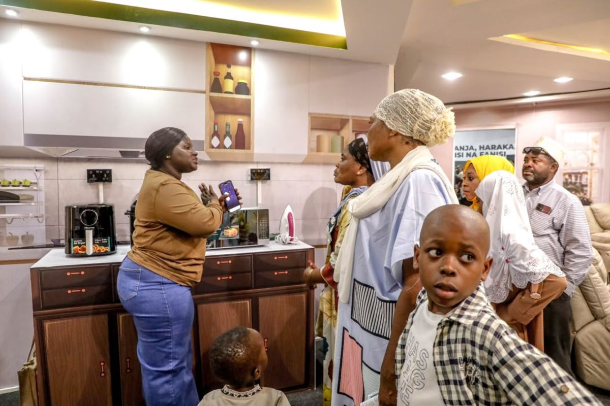 Tanesco's New Tech Aims to Cut Electricity Costs for Tanzanians