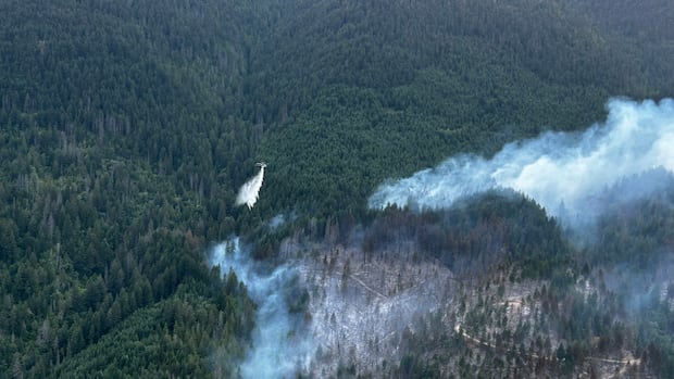 Wildfire near Boston Bar Forces Evacuations and Expands to 1,200 Hectares