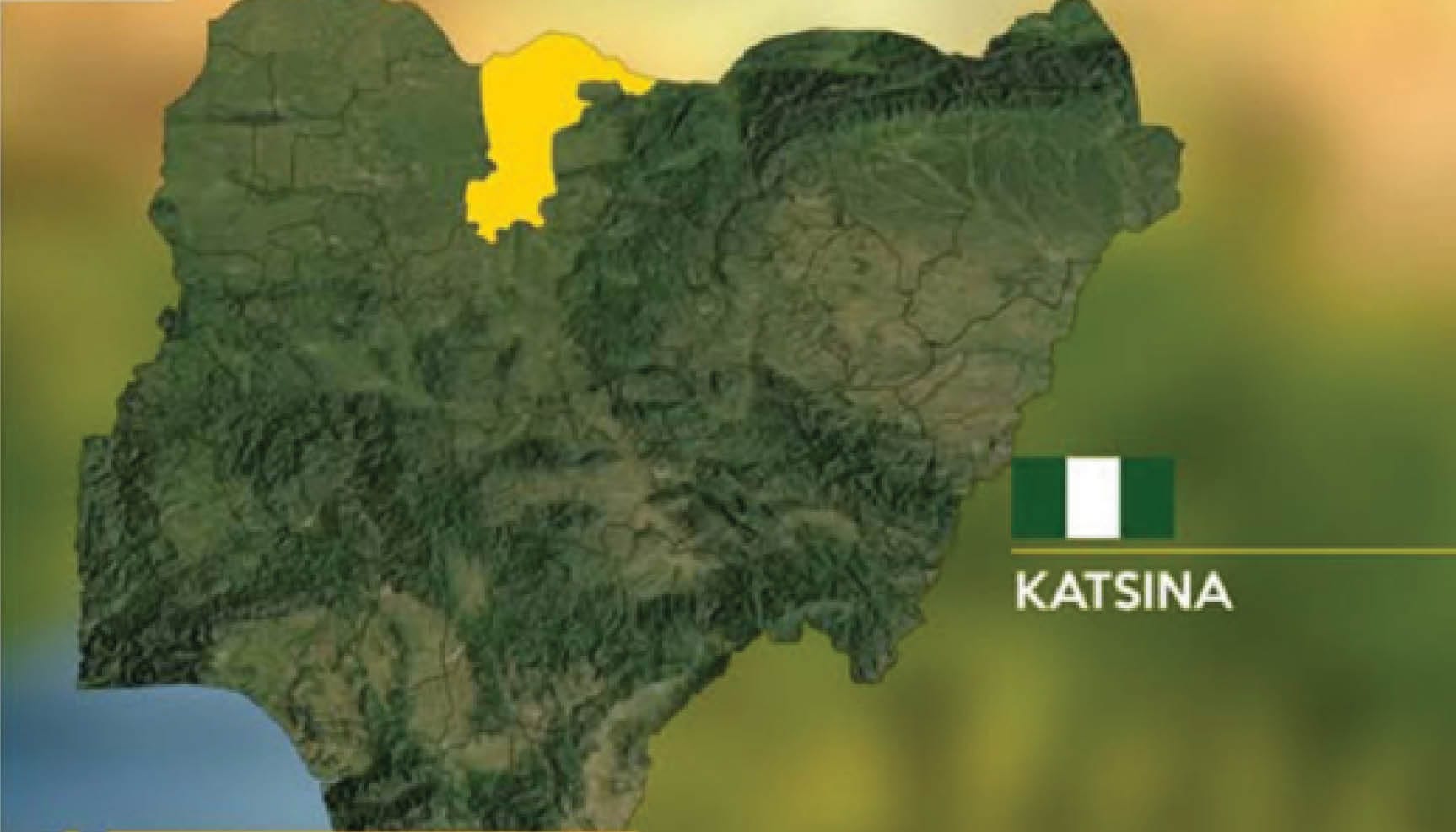 20-Year-Old Adam Ibrahim Tama Arrested in Katsina for Brutal Attack and Robbery on His Own Niece