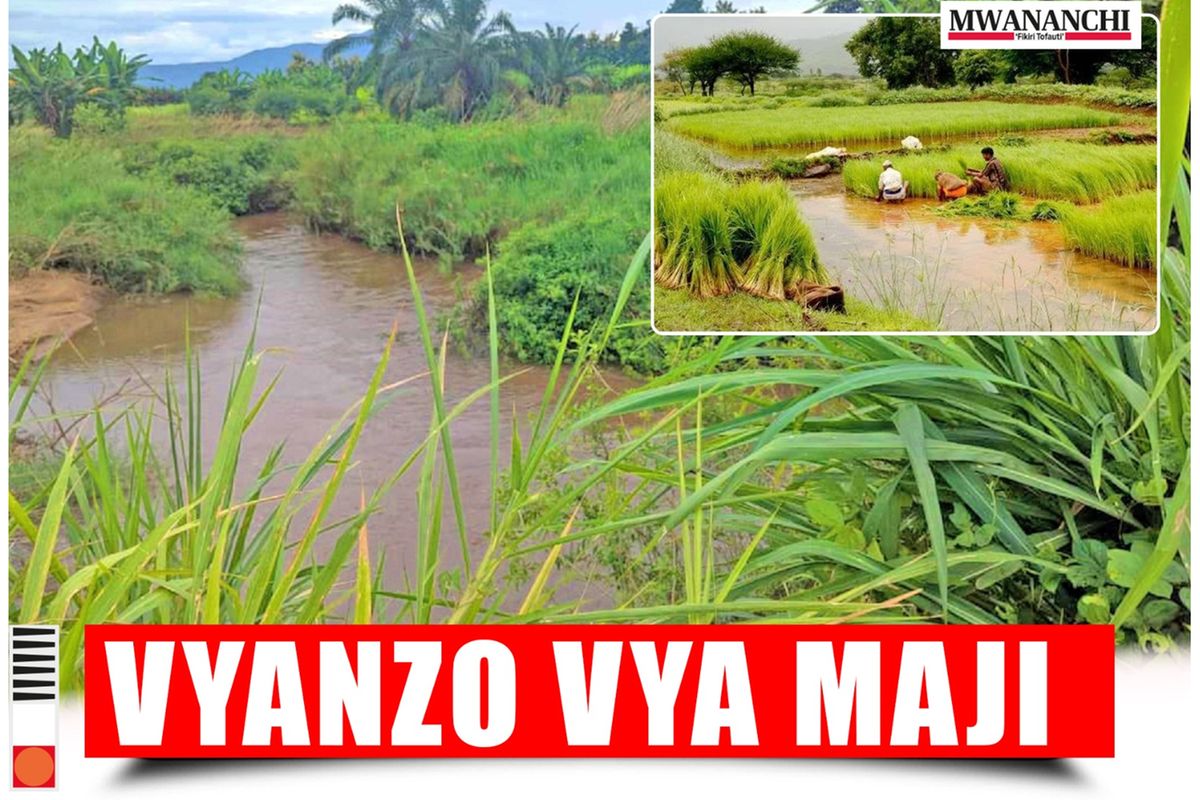 Conversion of Water Sources to Farms Threatens Kilombero's Water Security