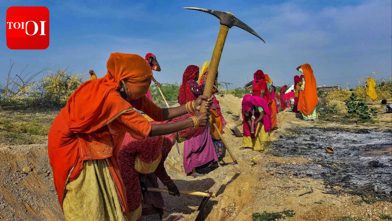 New Rural Employment Scheme Focuses on Water Security and Disaster Mitigation