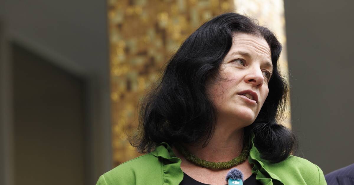 Parliamentary Inquiry Examines Dormant Sites and Lease Compliance