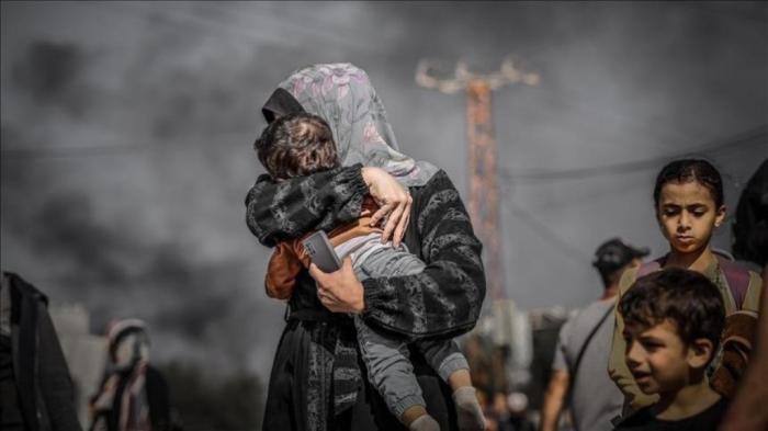 El Museo Palestino digitaliza memoria para preservar la historia de Gaza
