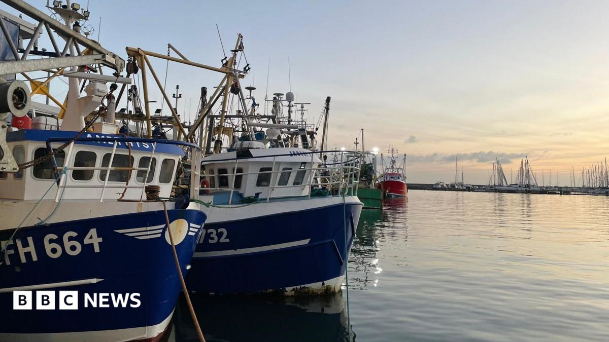 Marine heatwave threatens UK ecosystems as temperatures rise