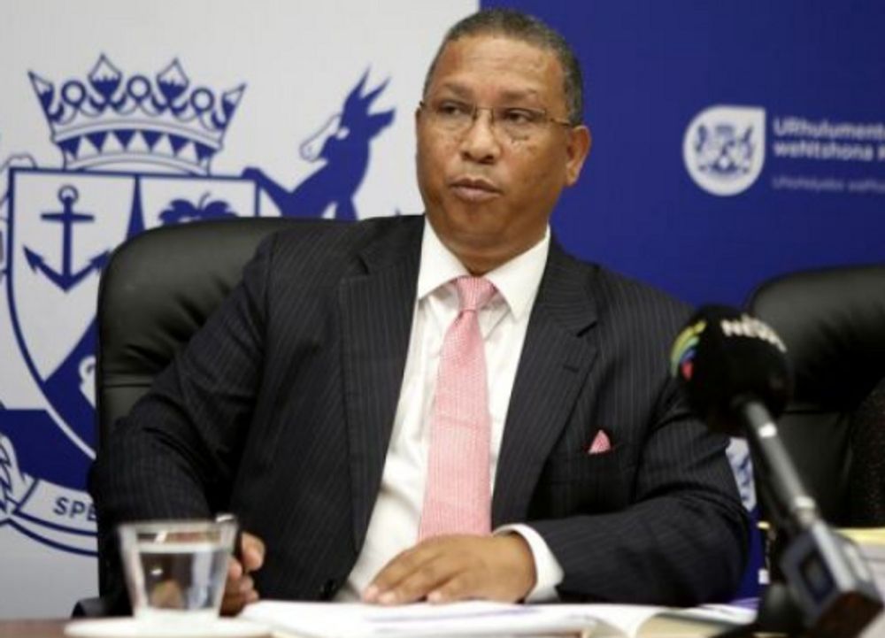 Western Cape's Equine Exports Drive Job Creation and Economic Growth