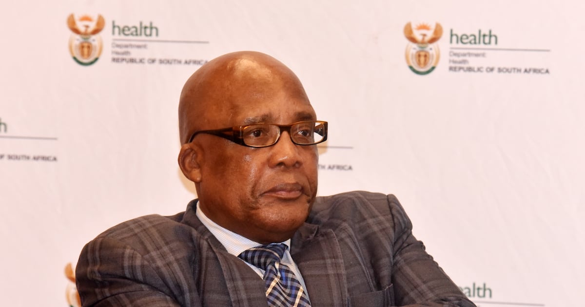 South Africa Prepares for Potential Ebola Outbreak with Hospital Readiness and Screening Measures