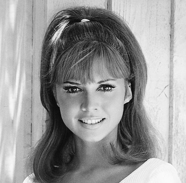 Jocelyn Lane: A Glamorous Journey Through 1950s and 1960s Hollywood