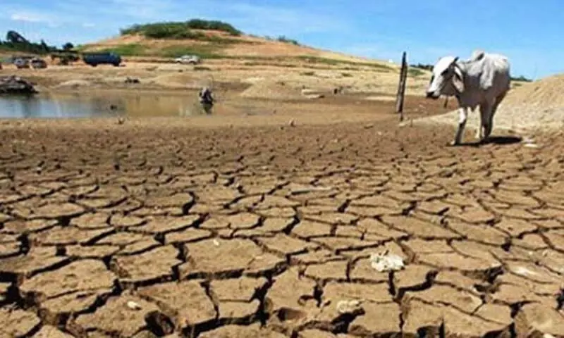 Strengthening El Nino Expected to Be One of the Strongest on Record: US Agency