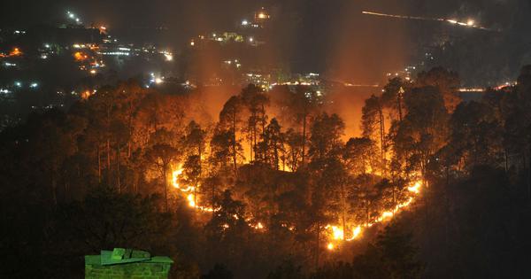 Climate change linked to increased Himalayan forest fires