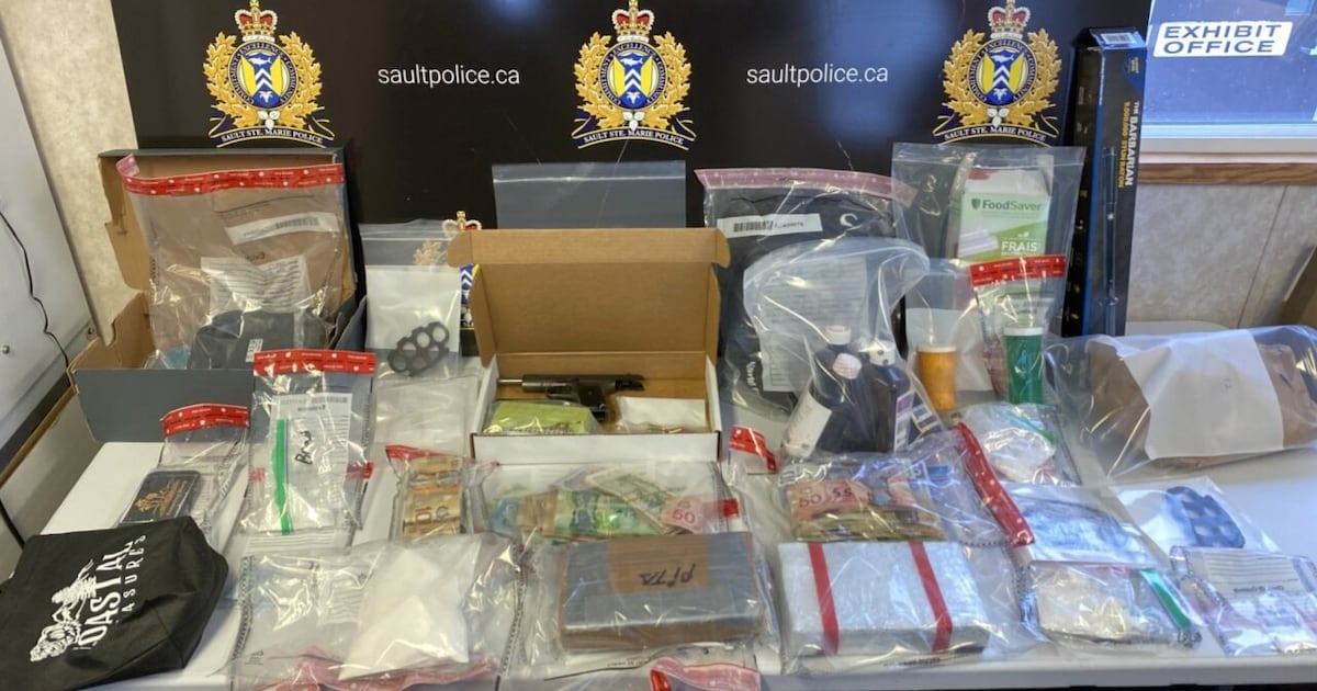 Law enforcement seizes drugs and cash during multiple raids in Algoma area