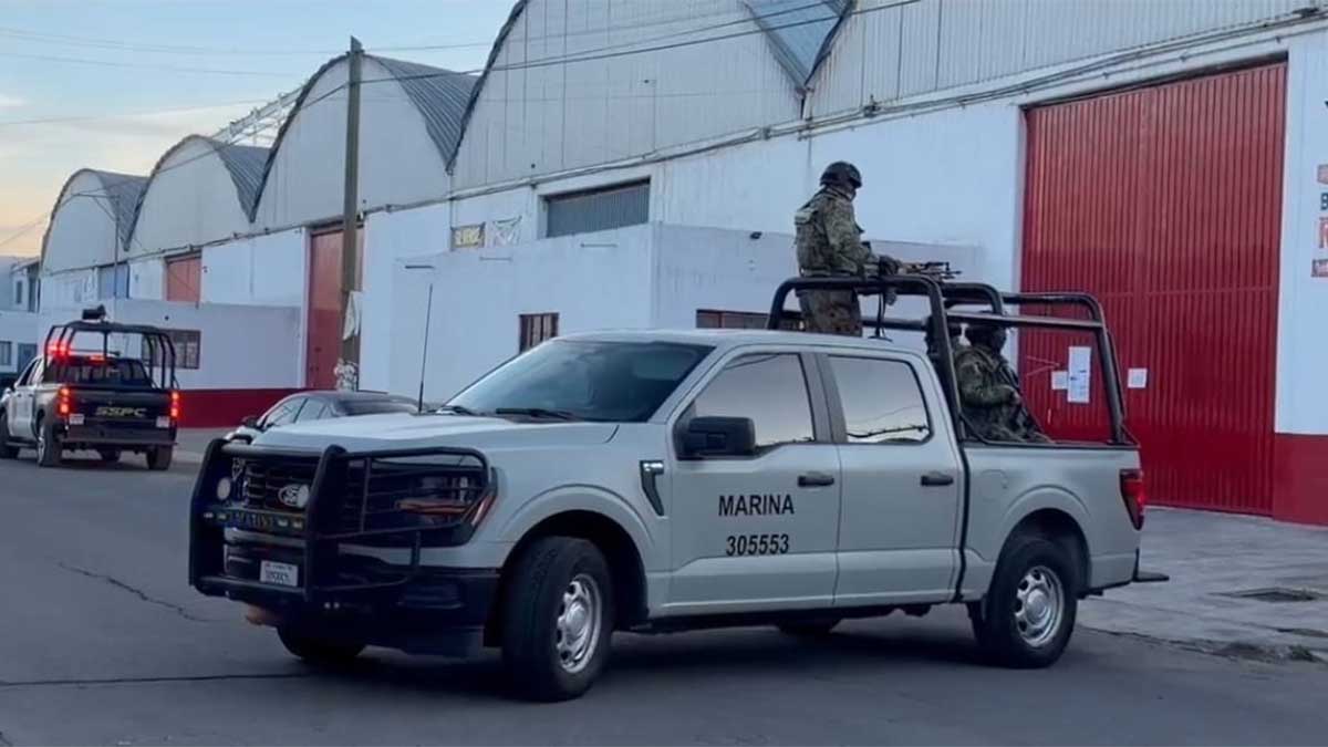 Federal Raids in Puebla and Tlaxcala Result in Five Arrests for Kidnapping and Organized Crime