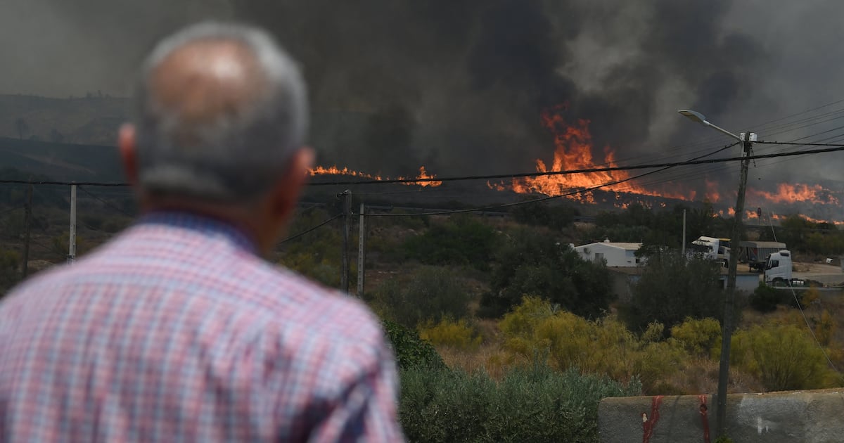 Tragedy in Almería: Forest Fire Claims 12 Lives and Leaves 23 Missing