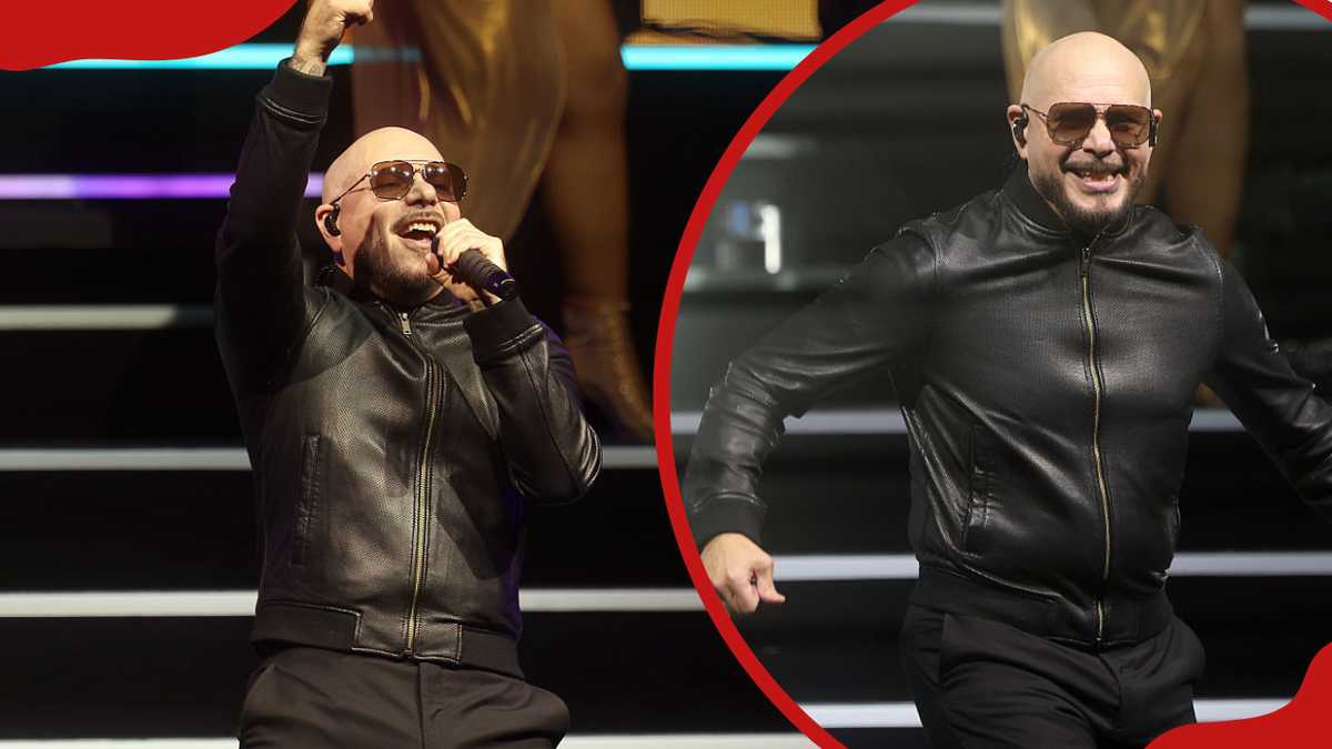 Pitbull's Children and Family Life: Privacy and Protection