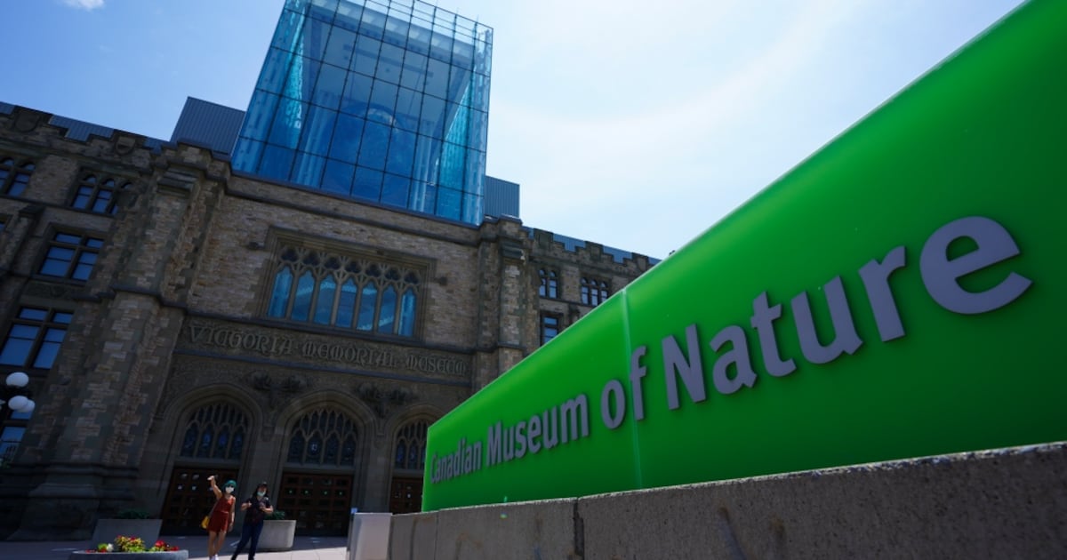 Free Summer Activities in Ottawa for Residents