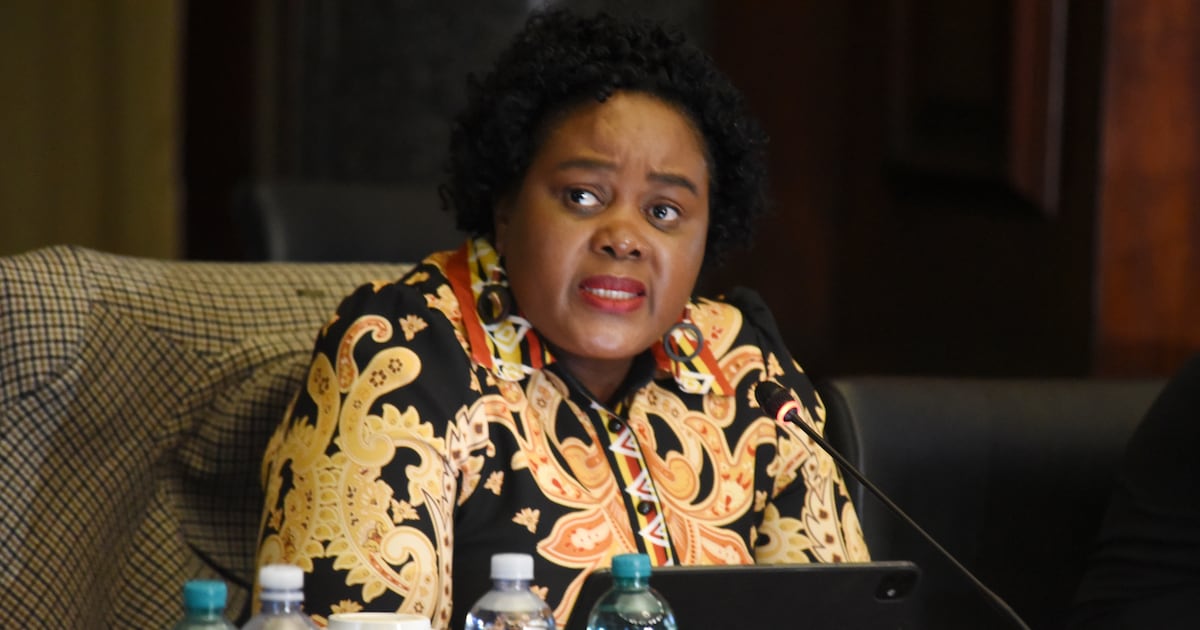 Government scales down repatriation efforts after over 53,000 foreigners deported or repatriated