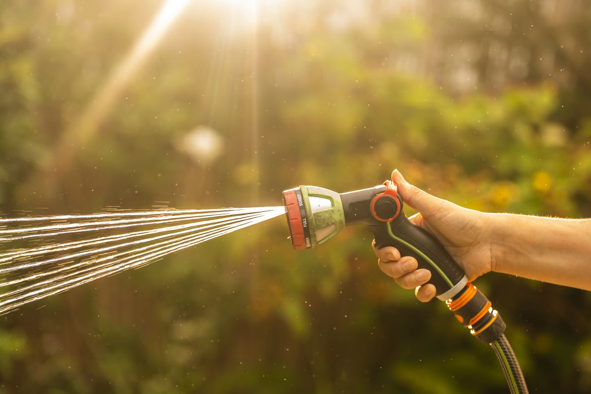 UK Implements Hosepipe Ban Amid Ongoing Heatwave and Drought Concerns