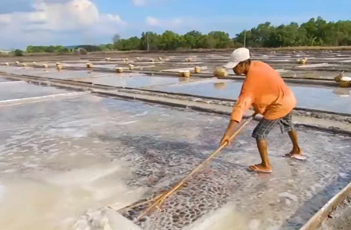 BFAR Expands Local Salt Production to Reduce Import Dependence