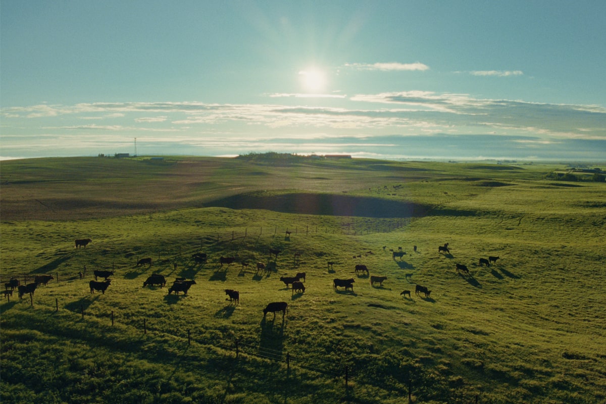 AI Tools Transform Farming Practices in Canada Through Data-Driven Insights
