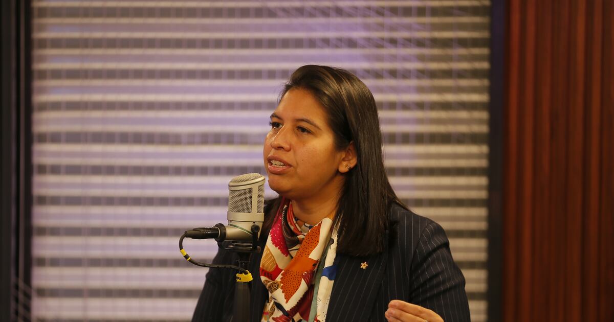 Senadora Balladares Defends Megareform Amidst Political Negotiations