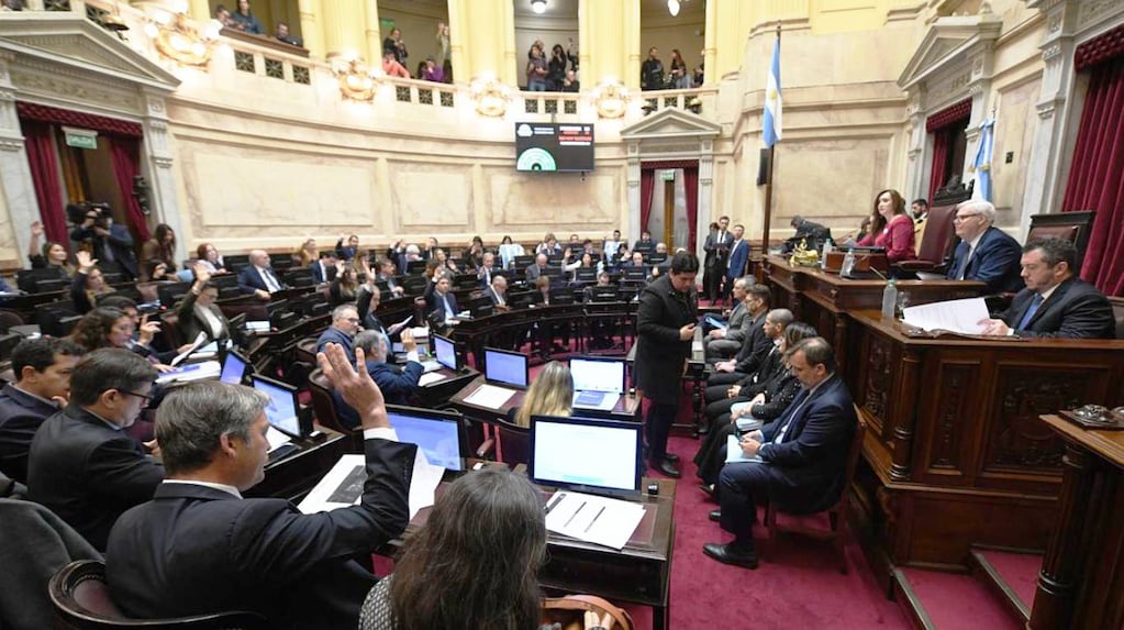 El Senado argentino celebró la victoria de la Selección contra Inglaterra y abordó el debate de la ley de propiedad privada