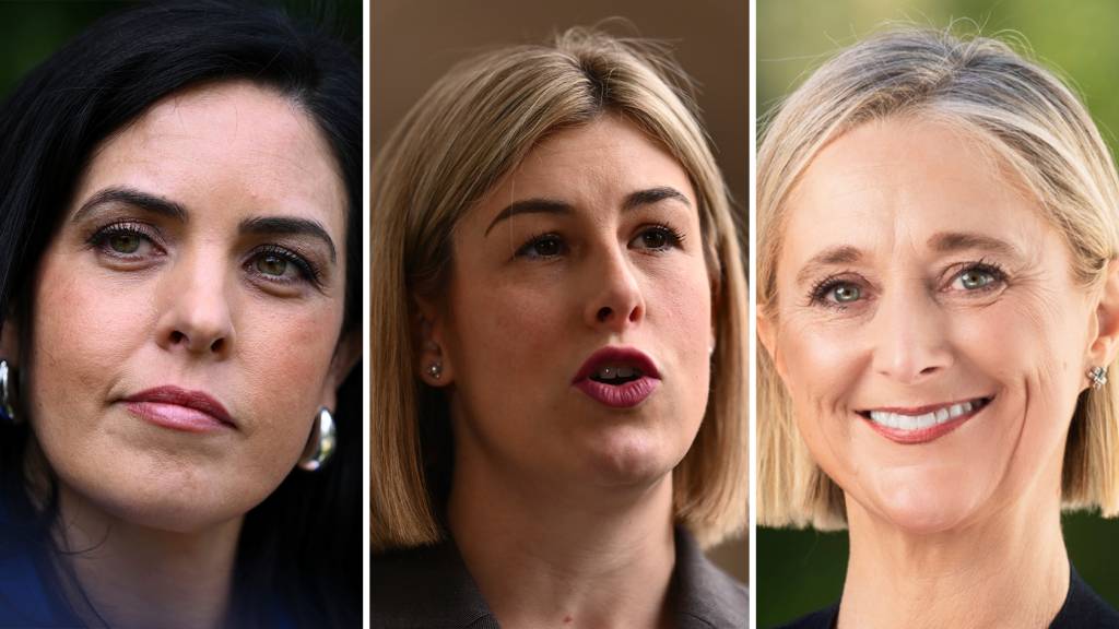 Victorian Liberal leadership faces internal challenges as Deeming's disendorsement unfolds