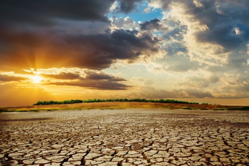 Eastern Africa Leaders Push for Regional Collaboration on Climate Resilience Funding