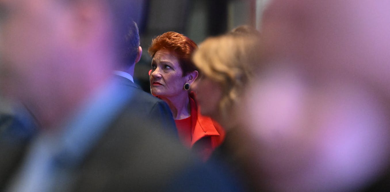Pauline Hanson's controversial overseas trip and political alliances spark debate